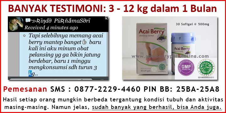 acai berry PT Adonai Perkasa Asli